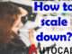 How to Scale down in AutoCAD