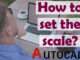 How to set the scale in AutoCAD