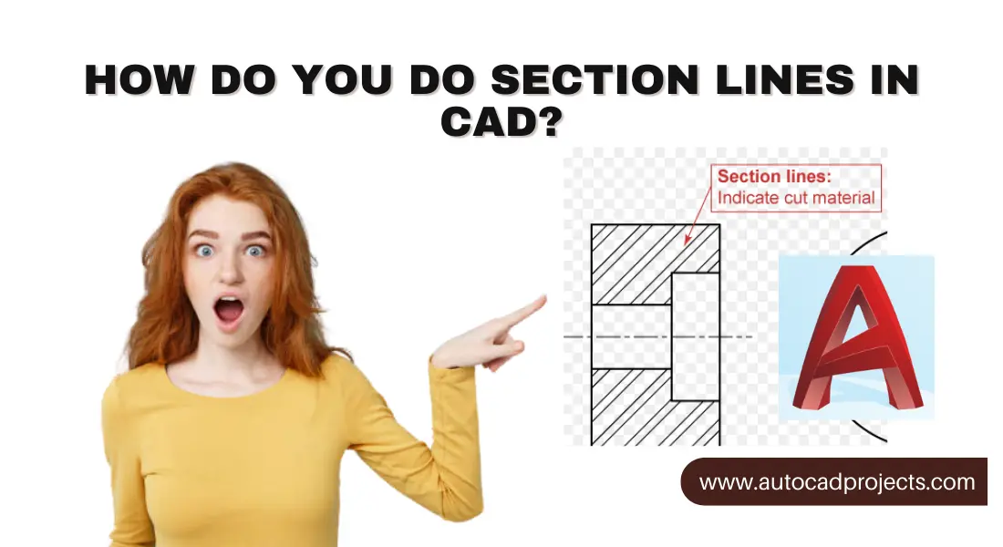 AutoCAD Section Line 100 You Don't know March 2024